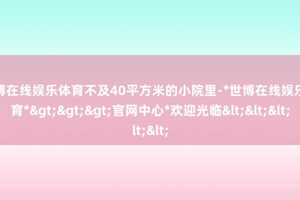 世博在线娱乐体育不及40平方米的小院里-*世博在线娱乐体育*>>>官网中心*欢迎光临<<<
