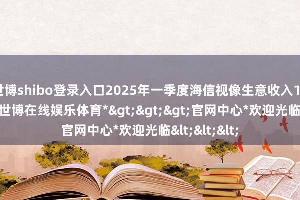 世博shibo登录入口2025年一季度海信视像生意收入133.75亿元-*世博在线娱乐体育*>>>官网中心*欢迎光临<<<