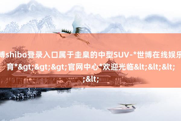 世博shibo登录入口属于圭臬的中型SUV-*世博在线娱乐体育*>>>官网中心*欢迎光临<<<
