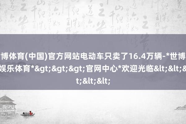 世博体育(中国)官方网站电动车只卖了16.4万辆-*世博在线娱乐体育*>>>官网中心*欢迎光临<<<