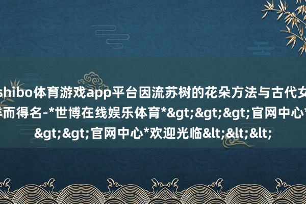 shibo体育游戏app平台因流苏树的花朵方法与古代女子头饰上的流苏同样而得名-*世博在线娱乐体育*>>>官网中心*欢迎光临<<<