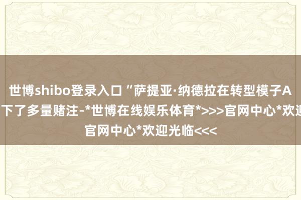 世博shibo登录入口“萨提亚·纳德拉在转型模子AI昔日上押下了多量赌注-*世博在线娱乐体育*>>>官网中心*欢迎光临<<<